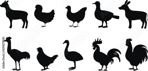 Collection of black silhouettes of various farm animals and birds on a white background Keywords: silhouette, farm animals, birds, chicken, hen, rooster, duck, goose, donkey