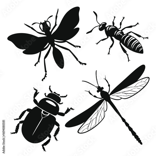 Four insect silhouettes black and white beetle
