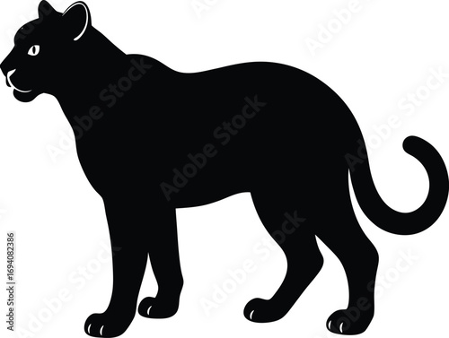 Leopard tiger on transparent background