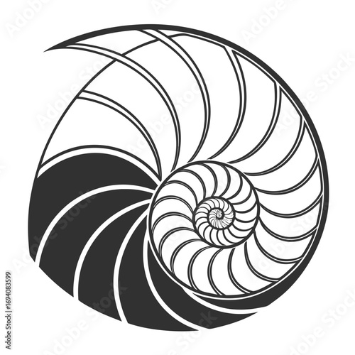 Nautilus shell spiral geometric pattern vector