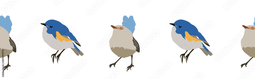 Fototapeta premium Bird con border. Bird feather silhouette symbol. Bird border isolated on a white background