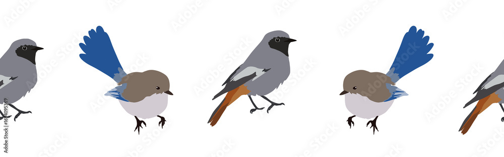 Obraz premium Bird con border. Bird feather silhouette symbol. Bird border isolated on a white background