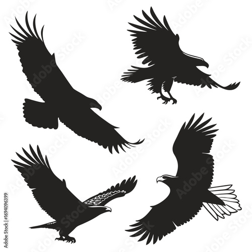Black eagle silhouettes in flight flying bird