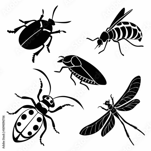 Black insect silhouettes beetle moth dragonfly ladybug