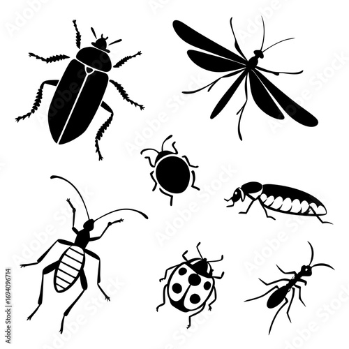Black insect silhouettes beetle moth ant ladybug vector