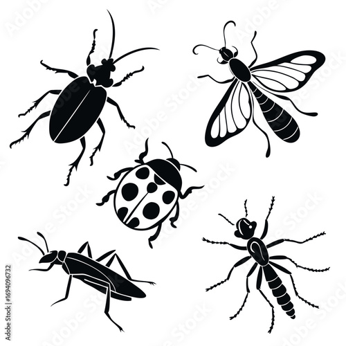 Black insect silhouettes beetle moth grasshopper ladybug ant