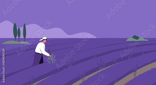 Person harvesting fragrant lavender in a vast, serene field. Captures rural life, traditional agriculture, natural beauty, and a peaceful, sustainable lifestyle.