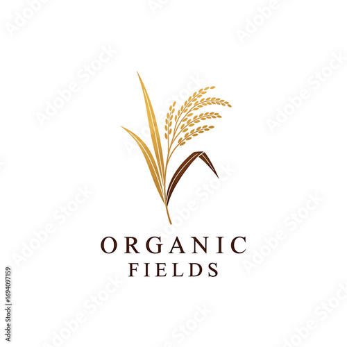 A stylized golden stalk of rice or wheat forms an elegant logo for the brand 'Organic Fields'.