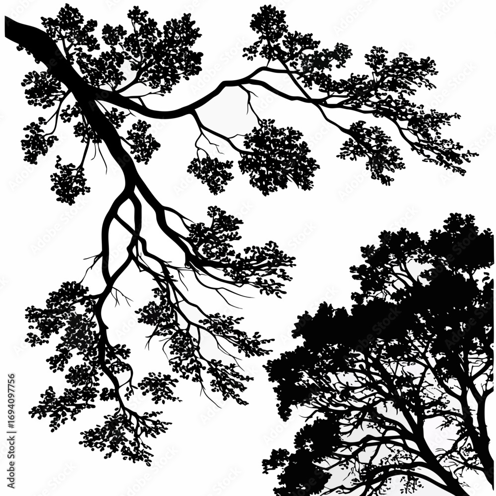 Naklejka premium Black tree branches and foliage silhouettes leaves