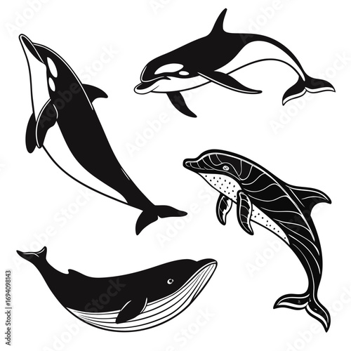 Black whale dolphin orca sea creatures killer whale