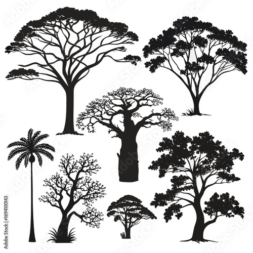 Diverse jungle trees silhouettes baobab palm