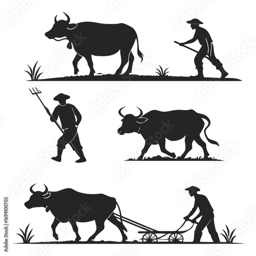 Farmer and water buffalo plowing field agriculture
