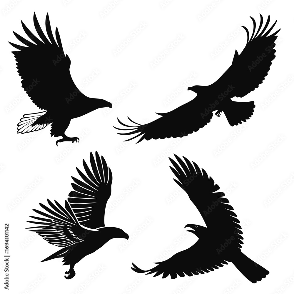 Obraz premium Four black eagle silhouettes in flight bird flying