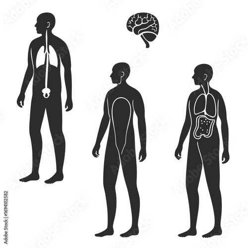 Human body internal organ silhouettes human anatomy