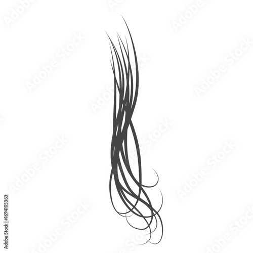 Illustration Gray Hair Vector