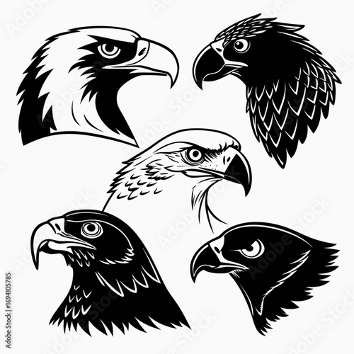Raptor bird heads collection eagle hawk