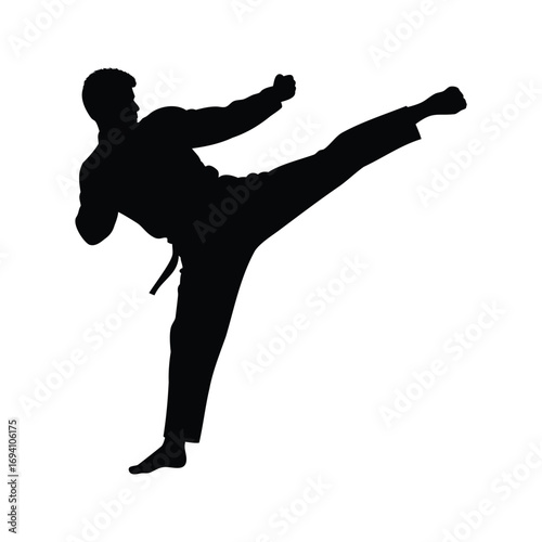 Martial artist performing a front kick in silhouette against white background, martial artist doing roundhouse kick silhouette vector illustration