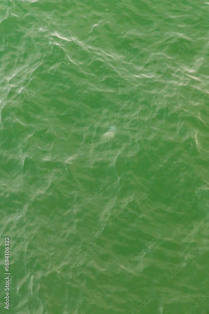 Fototapeta premium Wavy sea surface. Marine background. Copy space.