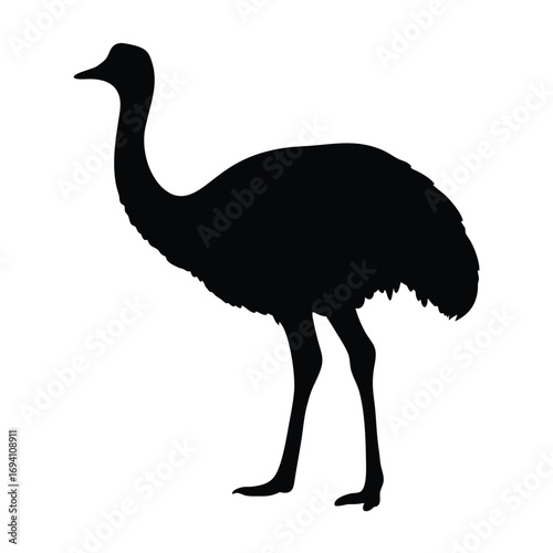 Download emu silhouette vector image, emu outline drawing, emu clip art, emu icon, emu design graphic