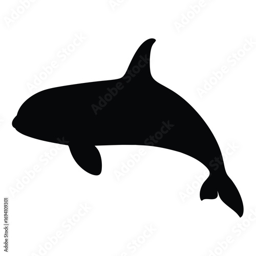 Isolated killer whale vector art, orca silhouette graphic, marine mammal illustration, black and white design