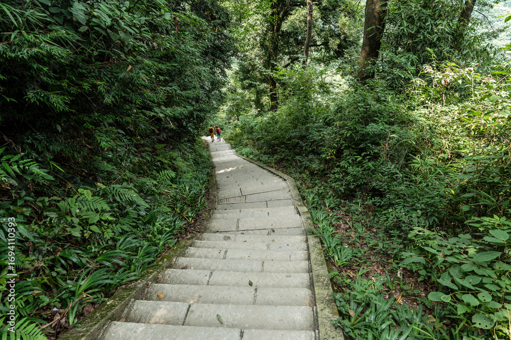 Obraz premium hiking the sacred stairs, Emeishan, Leshan Prefecture, Sichuan, People's Republic of China, Asia