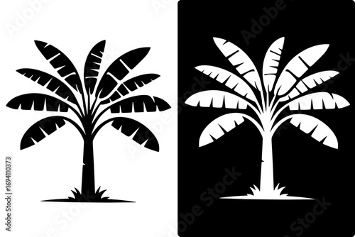 Banana trees silhouette vector, with negative image