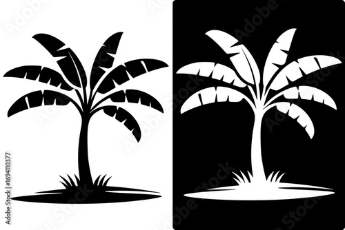 Vector silhouette of banana tree, with negative image, HD image