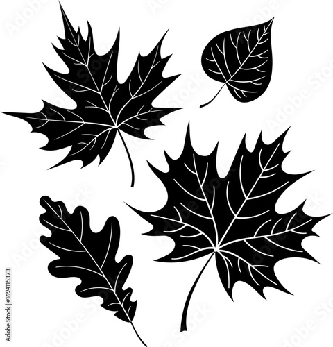Four Black Silhouettes of Diverse Autumn Leaves: Maple, Oak, and Linden on White
