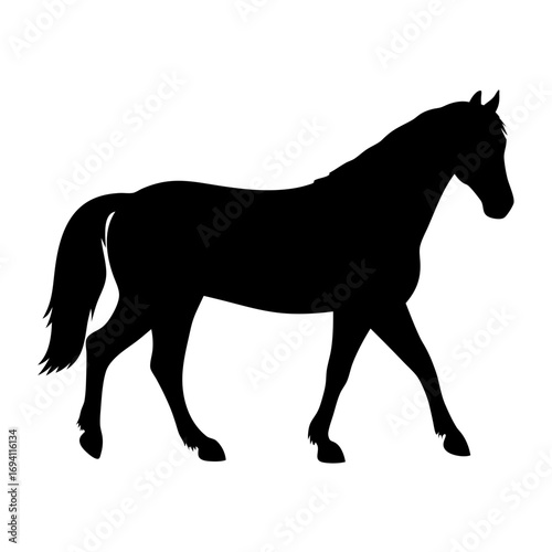 Horse silhouette vector image for equestrian design and farm animal illustration projects and artwork