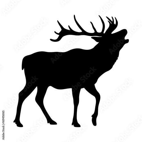 Silhouette of a majestic elk roaring with large antlers vector illustration wildlife animal art