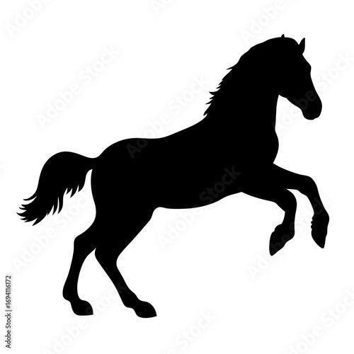 Black horse silhouette rearing up vector illustration equine animal design graphic art image stock photo