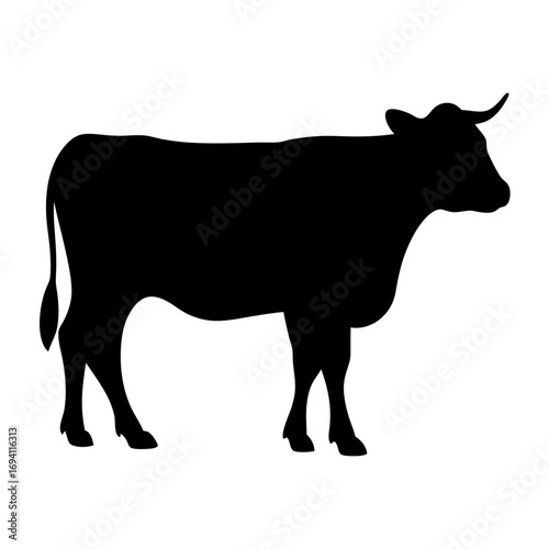 Cow silhouette vector illustration of farm animal livestock bovine cattle beef dairy agriculture mammal black and white