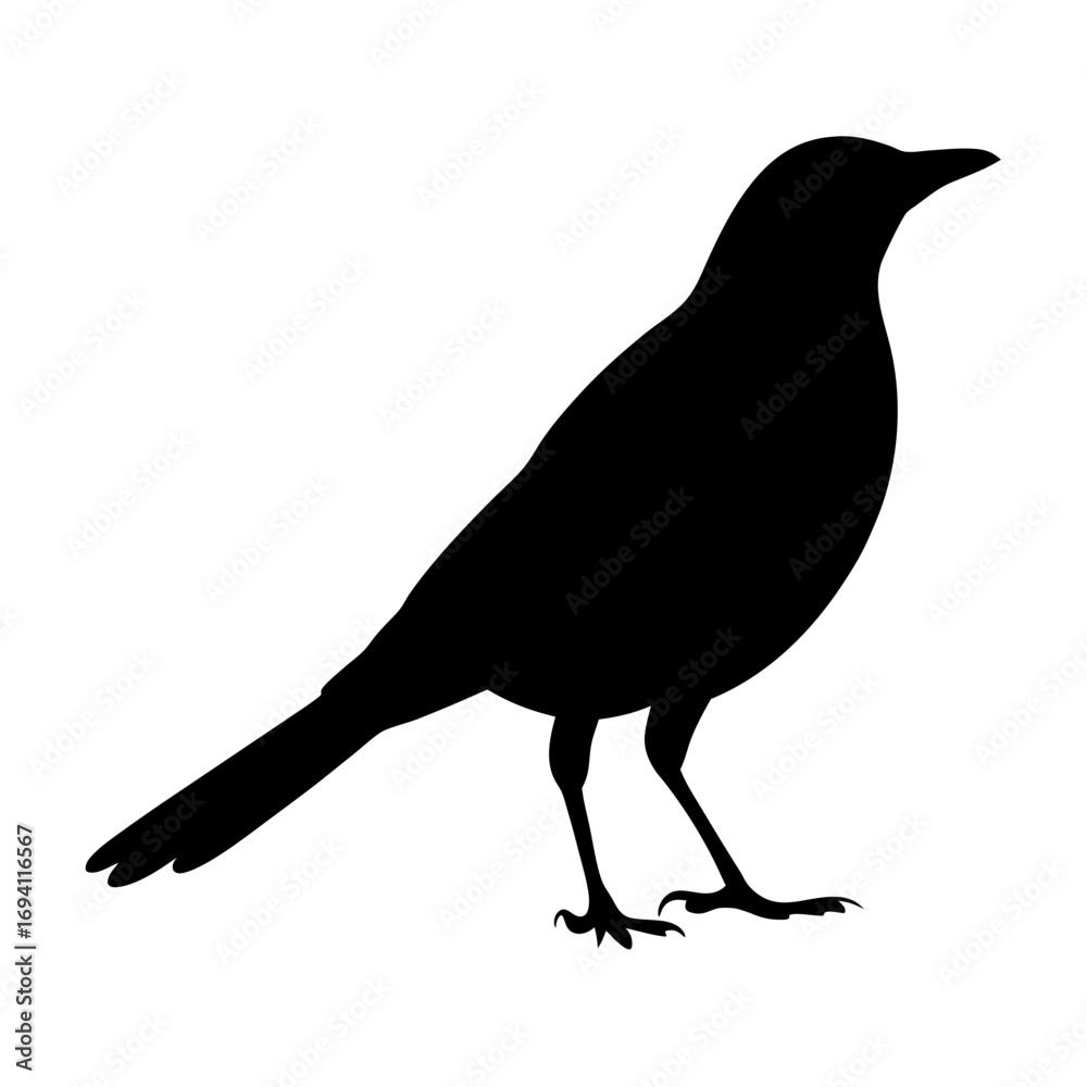 Fototapeta premium Black bird silhouette vector illustration of a songbird perched standing isolated design element for art