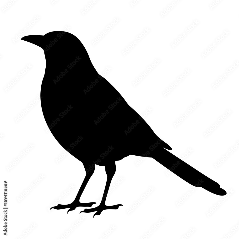 Obraz premium Download black bird silhouette vector image graphic illustration free high resolution design asset