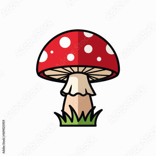 Amanita Muscaria Mushroom with White Spots Growing in Green Grass