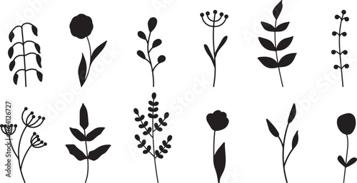 Herbal Bottles, Natural Remedies, Plant Extracts, Herbal Illustrations, Botanical Containers, Wellness Products, Herbal Designs, Organic Bottles, Herbal Art, Plant-Based Containers, Wellness Icons, Bo