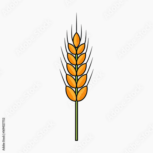 Golden Ear of Wheat Harvest Grain Agriculture Food Staple Organic