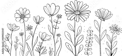 Elegant minimalist line art of wildflowers for design and decor