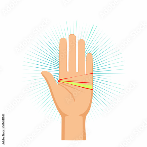 Palm Lines Illustration