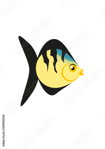 Colorful aquarium fish