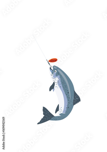 Salmon biting an angler's lure