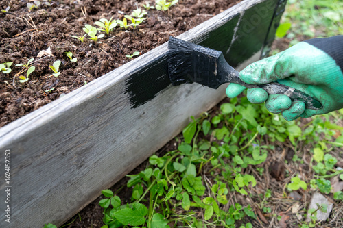 Hand in protective glove uses brush to paint wooden garden bed black. Process makes bed look neat and helps protect wood from rotting