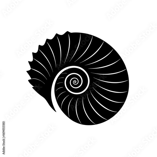 Illustration of a nautilus shell in black on transparent background silhouette