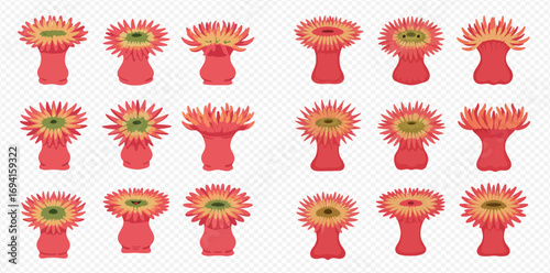 A collection of illustrated red sea anemones in various shapes and poses, isolated on a transparent background.