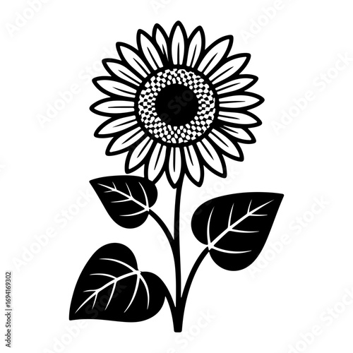 Hand-drawn black and white sunflower with textured petals and leaves simple graphic style vector