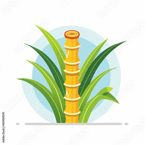 Illustration Of Sugarcane Plant