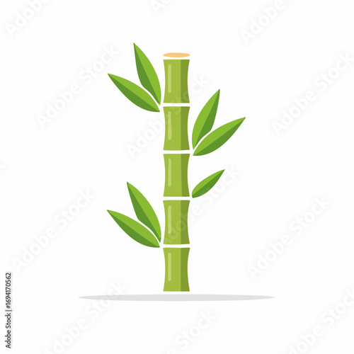 Green Bamboo Stem With Leaves On White Background