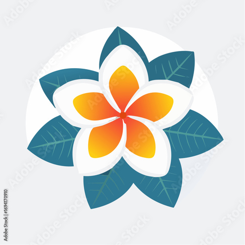 Ornamental Plumeria Flower Design