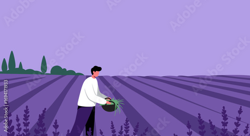 Man harvesting lavender in a vast purple field under a serene sky. Represents agriculture, rural lifestyle, natural beauty, and peaceful travel experiences.