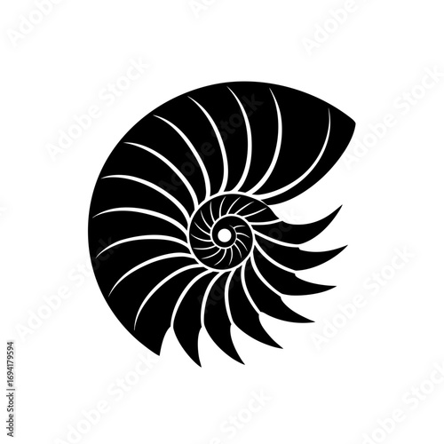 Black nautilus shell drawing on transparent background silhouette